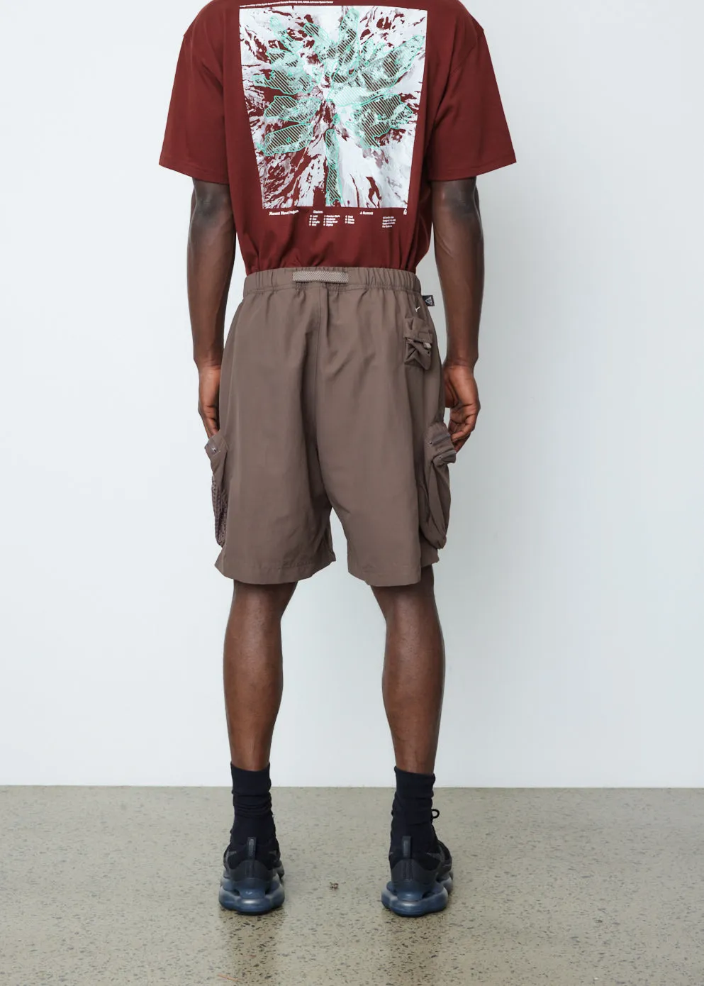 ACG Snowgrass Cargo Shorts