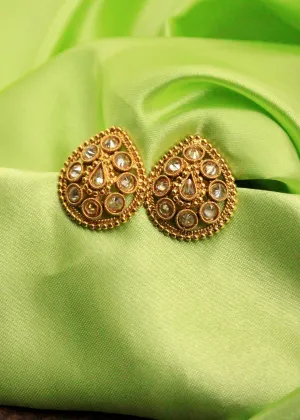 ATTRACTIVE LEAFY EARRINGS
