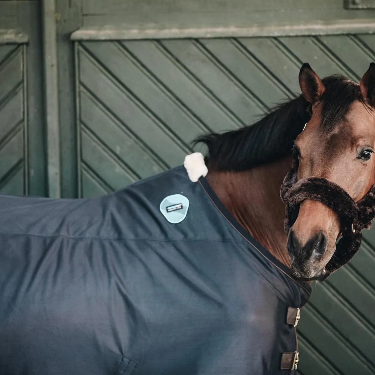 Kentucky Horsewear Magnetic Rug Recuptex